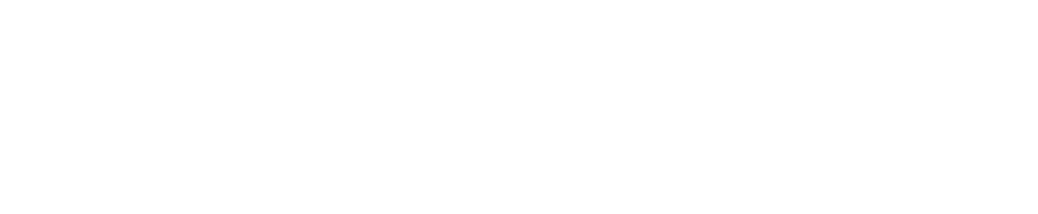 Centrul de Proiecte Logo